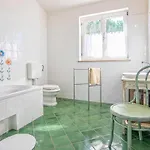Casa Peronospora By Kompas *